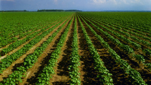 Farmers Edge, Nufarm Partner in Australia