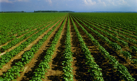 Farmers Edge, Nufarm Partner in Australia