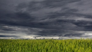 BASF: Sales Volumes Down, Trade Conflicts ‘Serious Concern’