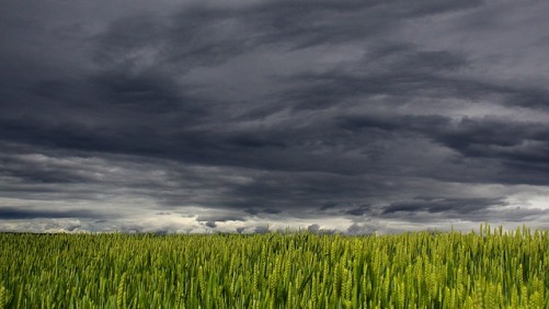 5 Reasons Why U.S. Agriculture is in Worse Shape Than You Think