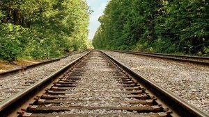 Weed Control on the Rise in Noncrop