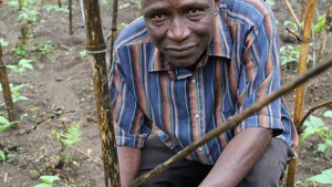 How Africa’s Farms Are Recovering from Ebola