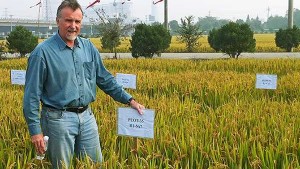 IFA 选择 Norman Borlaug 奖获得者