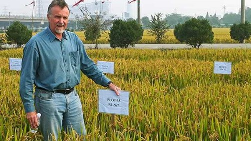 IFA Selects Norman Borlaug Award Laureate