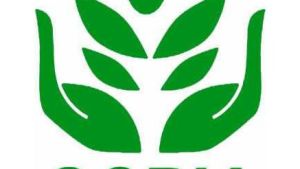 Chinese Agchem Losses Up Sharply in First-Half 2015