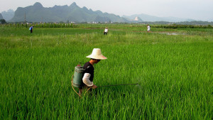 Global Crop Protection Product Supply, Demand, and Use Trends — A Positive Outlook