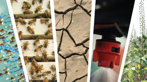 5 Issues Changing the Crop Protection Industry