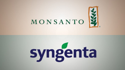 Syngenta Rejects Monsanto’s Latest Offer