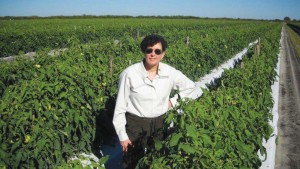 Marrone Bio Innovations Gets EPA Approval for Majestene