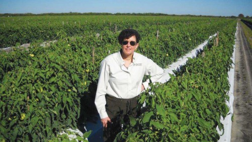 Marrone Bio distribuirá el biofungicida Isagro