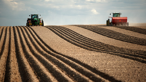 Why the West Forgot the Farm, and How We’re Rediscovering Them