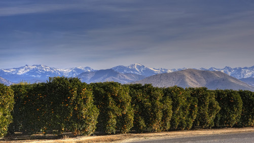 With California Glyphosate Verdict, Full-Blown Chemical Warfare Has Started